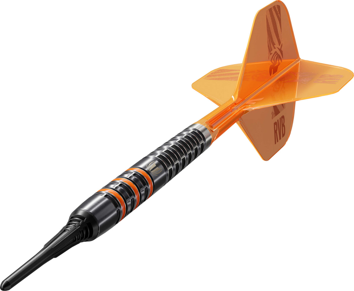 Target Raymond van Barneveld RvB 95k 20g Softdart
