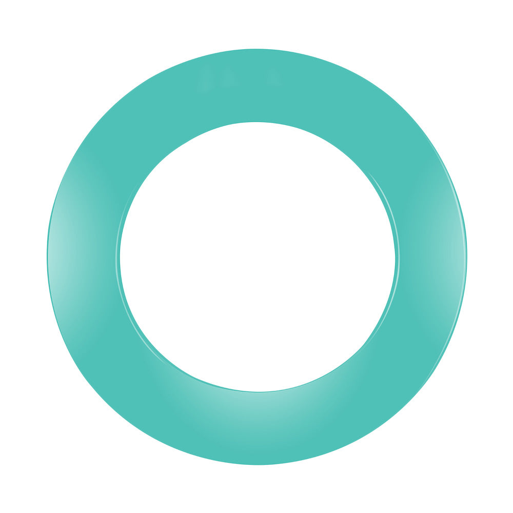 PU Surround für Steeldart Board - Jade