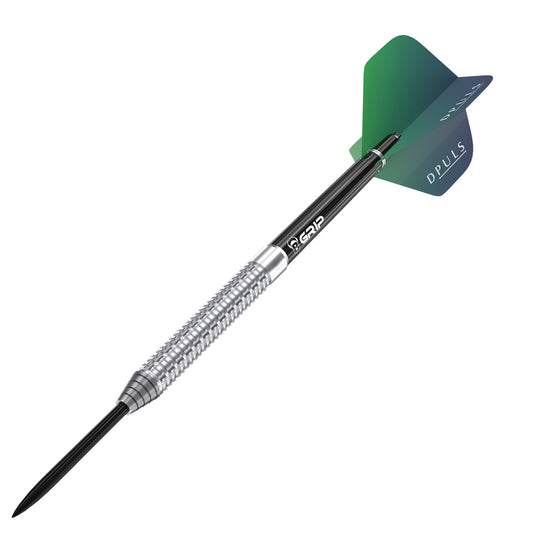 D-Puls Hausi Marcel Hausotter Steeldart 23g