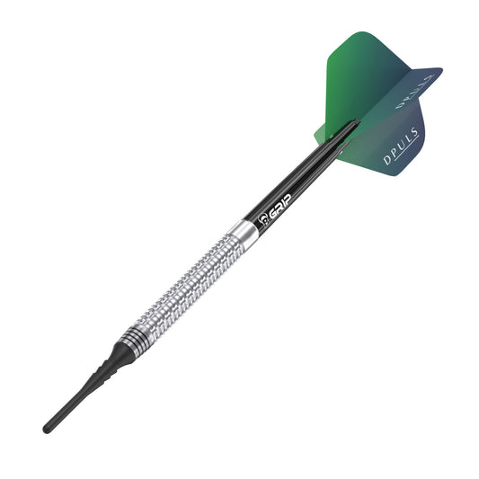 D-Puls Hausi Marcel Hausotter Softdart 20g