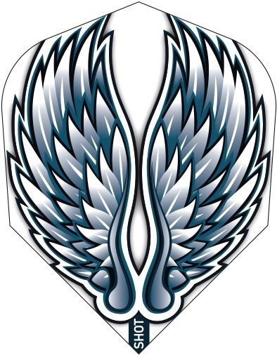 Shot Flight No.6 Birds of Prey Eagle Wings