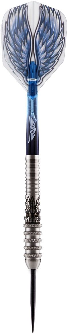 Shot Birds of Prey Kite 80% Steeldart