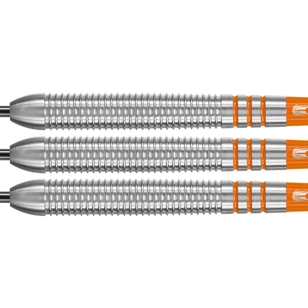 Target Raymond van Barneveld RVB 80% Steeldart
