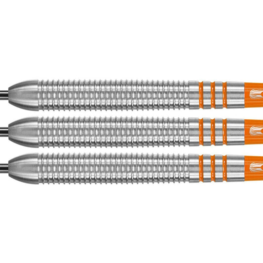Target Raymond van Barneveld RVB 80% Steeldart