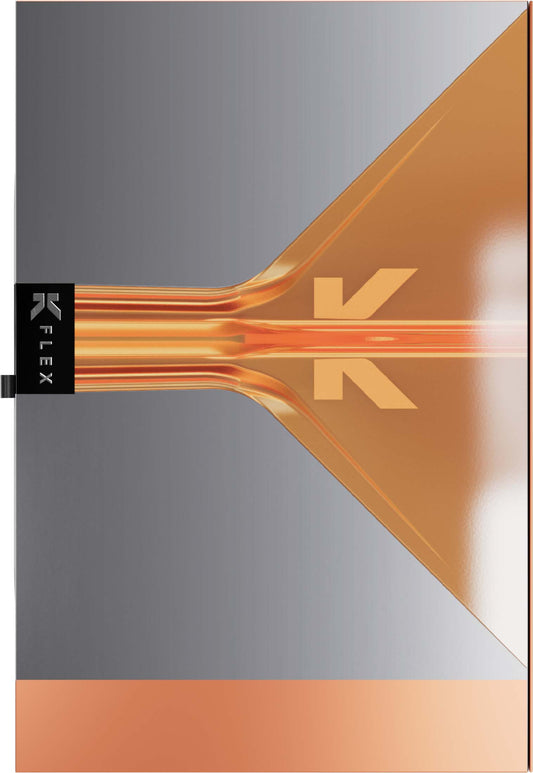 Target Raymond van Barneveld RvB 95k 20g Softdart