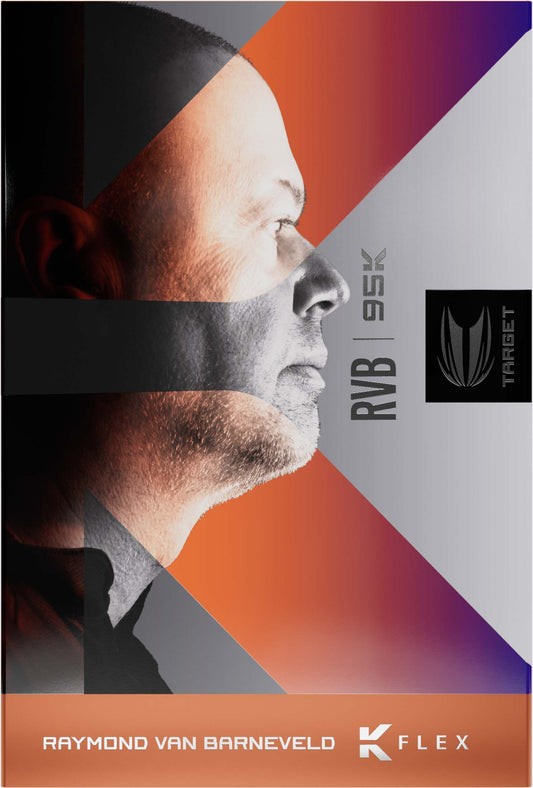 Target Raymond van Barneveld RvB 95k 20g Softdart