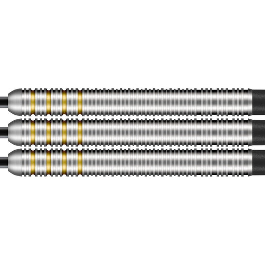 Shot Ritchie Edhouse 90% Steeldart