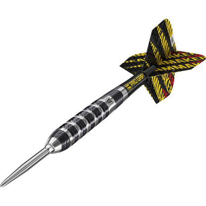 Target Dimitri Van den Bergh 80% Swiss Point Steeldart