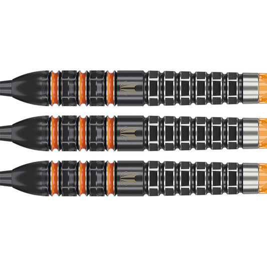 Target Raymond van Barneveld RvB 95k Swiss Point Steeldart