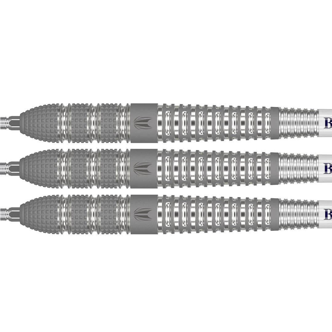 Target Raymond van Barneveld Barney 25 95% Steeldart