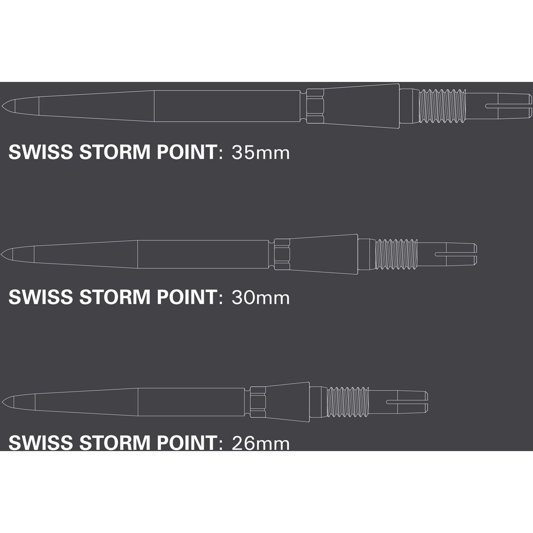 Target Swiss Point Storm Point Dartspitzen