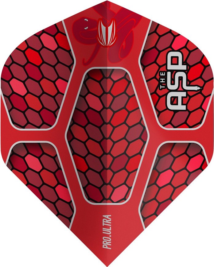 Target Vision Ultra Player Nathan Aspinall No.2 Flights